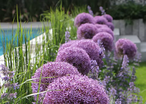 Visual der Website Gartenbau - Floristik Tauderer